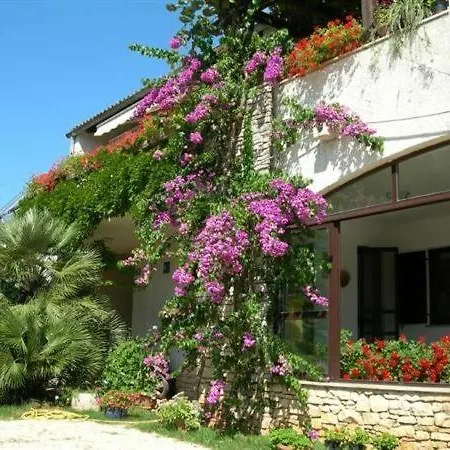House *